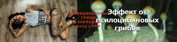 спайс Богданович