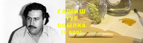 спайс Богданович