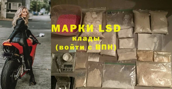 стафф Балахна