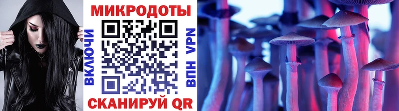 Псилоцибиновые грибы Cubensis Сердобск